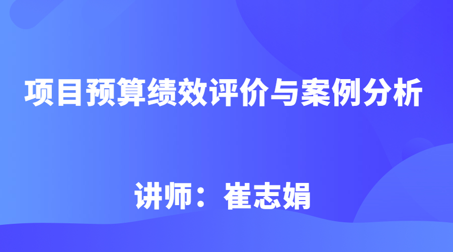 项目预算绩效评价与案例分析